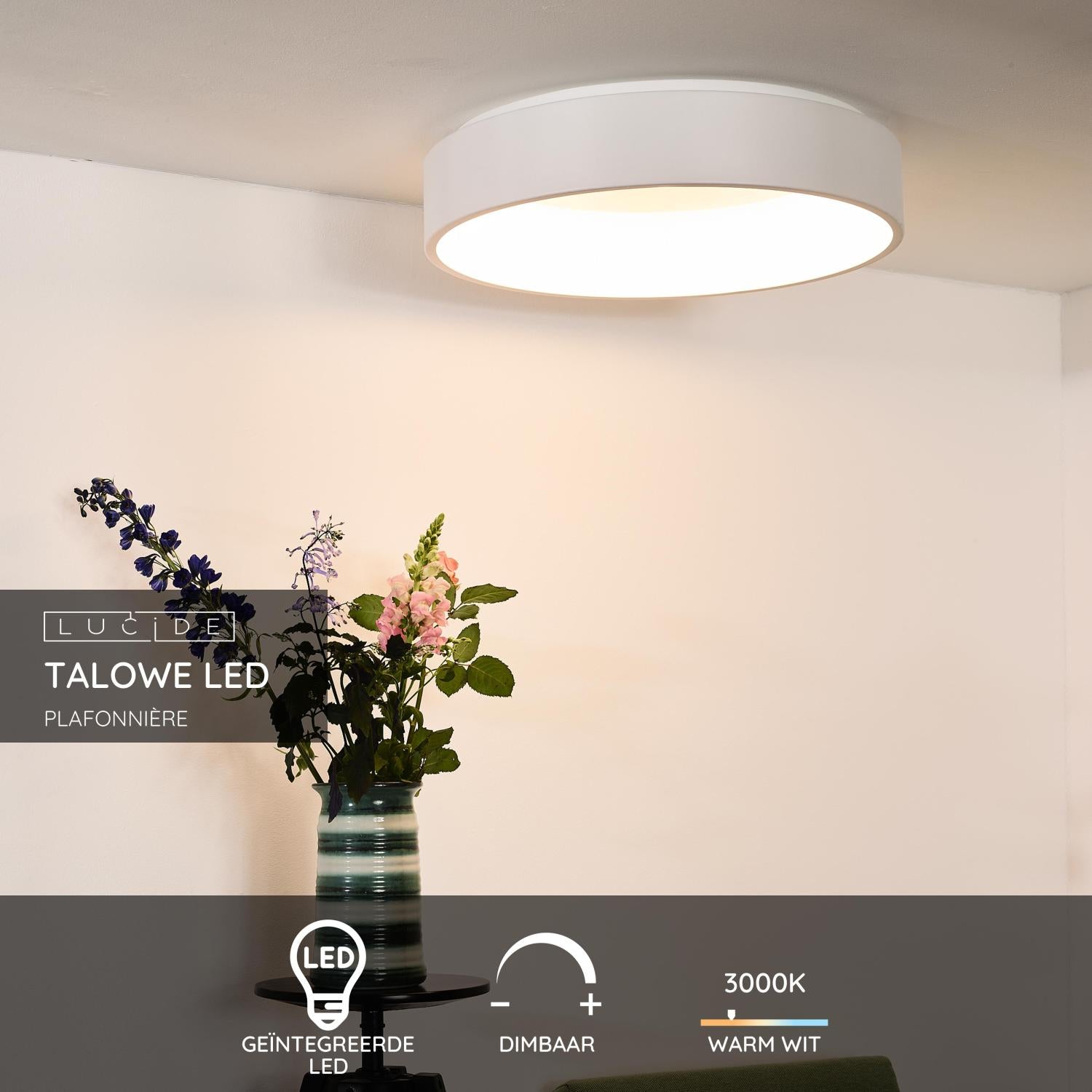 Talowe plafondlamp Ø60 LED wit