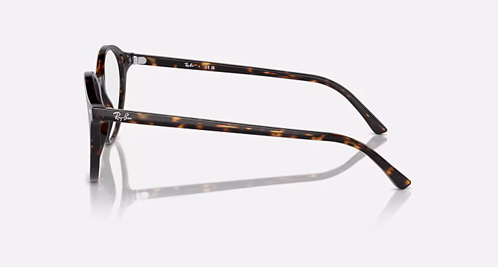 Ray-Ban BERNARD OPTICS