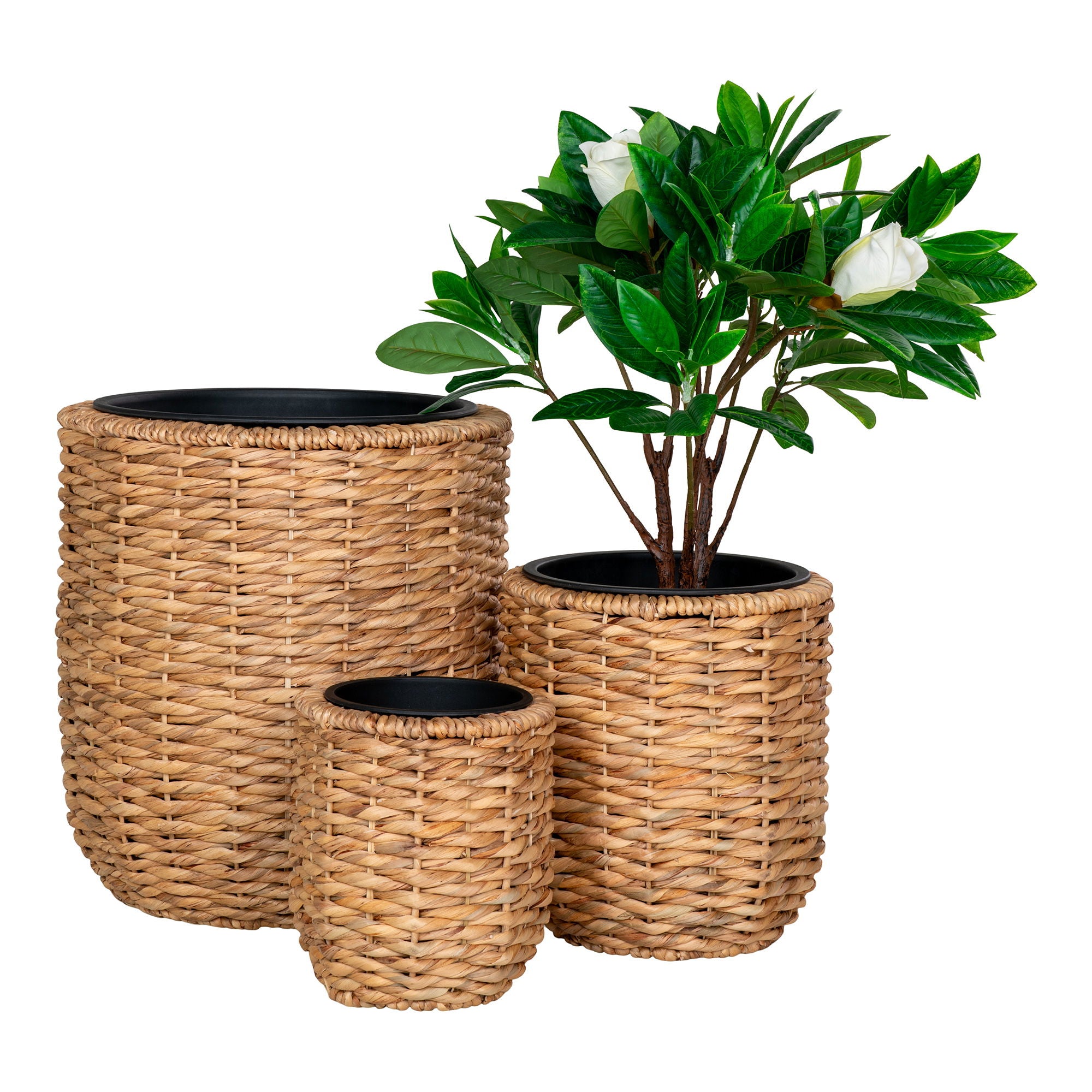 Hanoi Bloempot