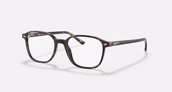 Ray-Ban LEONARD OPTICS