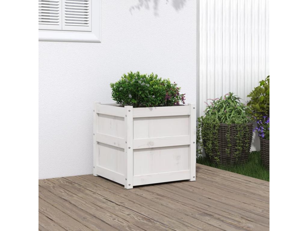 Decoratodo madera maciza de pino blanco 50x50x50 cm
