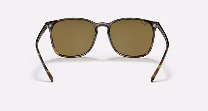 Ray-Ban RB4387