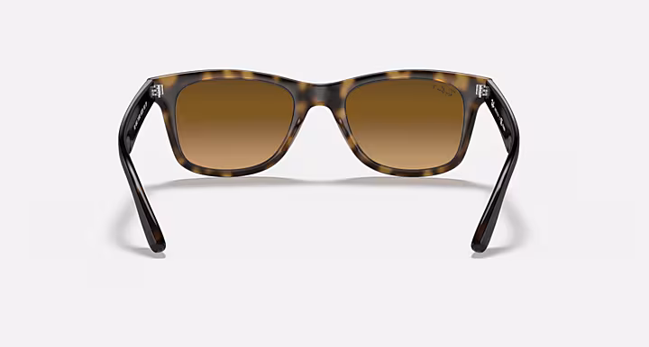 Ray-Ban RB4640