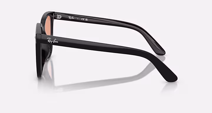 Ray-Ban RB4401D