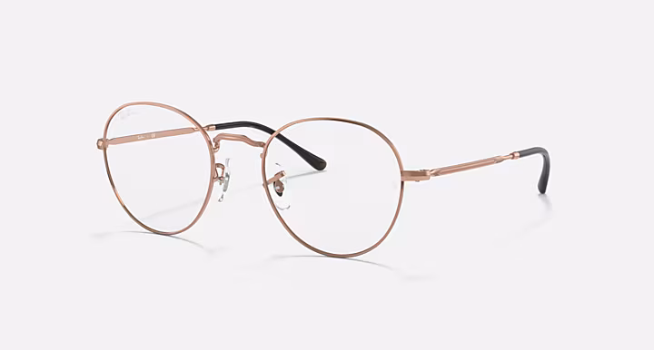 Ray-Ban ROUND METAL OPTICS II