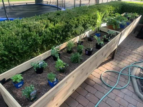 AnkerfieldSelf-Watering Eco-Stained Elevated Planter Box