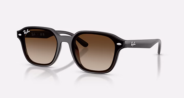 Ray-Ban RB4458D