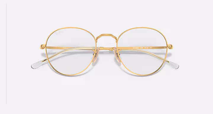 Ray-Ban ROUND METAL OPTICS II