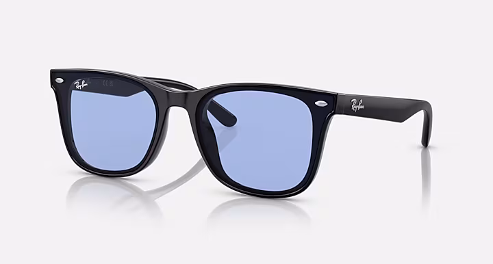 Ray-Ban RB4391D