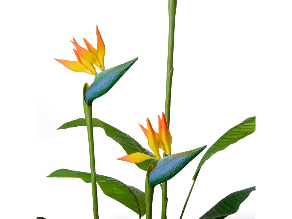 Bird of Paradise - Planta artificial en maceta H160 cm