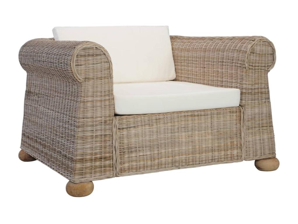 Sillón con cojines ratán Confortzx