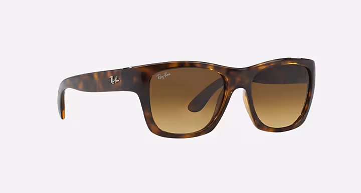 Ray-Ban RB4194