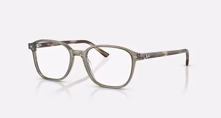 Ray-Ban LEONARD OPTICS