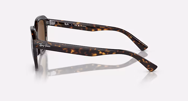 Ray-Ban ERIK