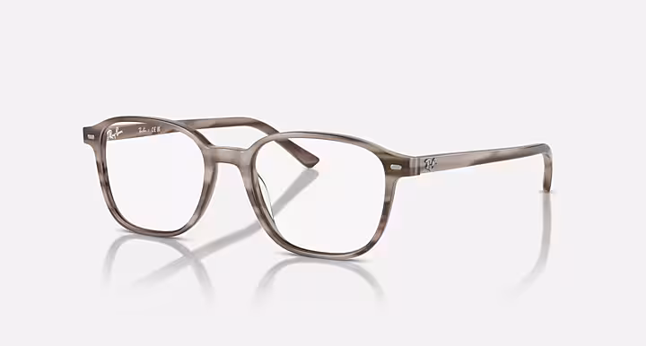 Ray-Ban LEONARD OPTICS