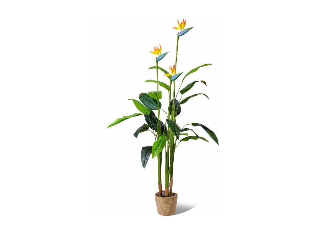 Bird of Paradise - Planta artificial en maceta H160 cm