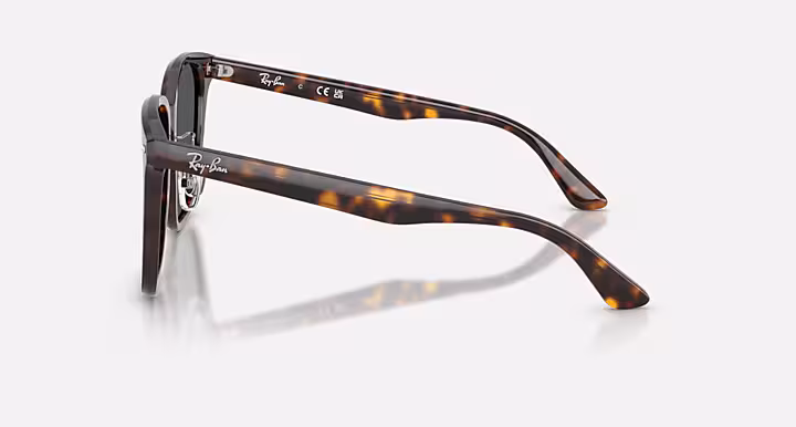 Ray-Ban RB2206D