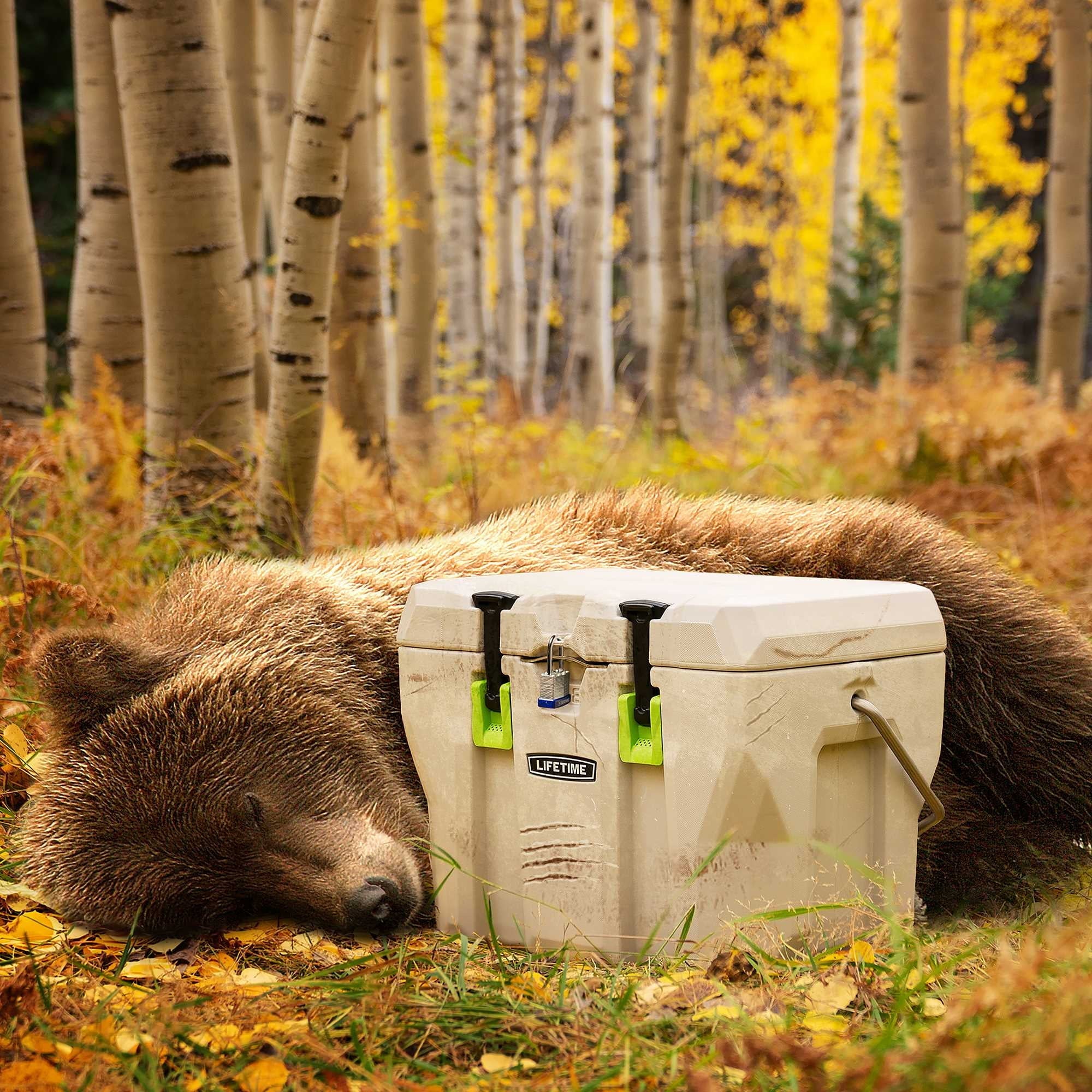 Lifetime Bear-Resistant High Performance Camping Cooler, 28 qt, 20 Can Capacity, Boulder Gray - 91289 - Image 24 Lifetime Bear-Resistant High Performance Camping Cooler, 28 qt, 20 Can Capacity, Boulder Gray - 91289 - Image 24