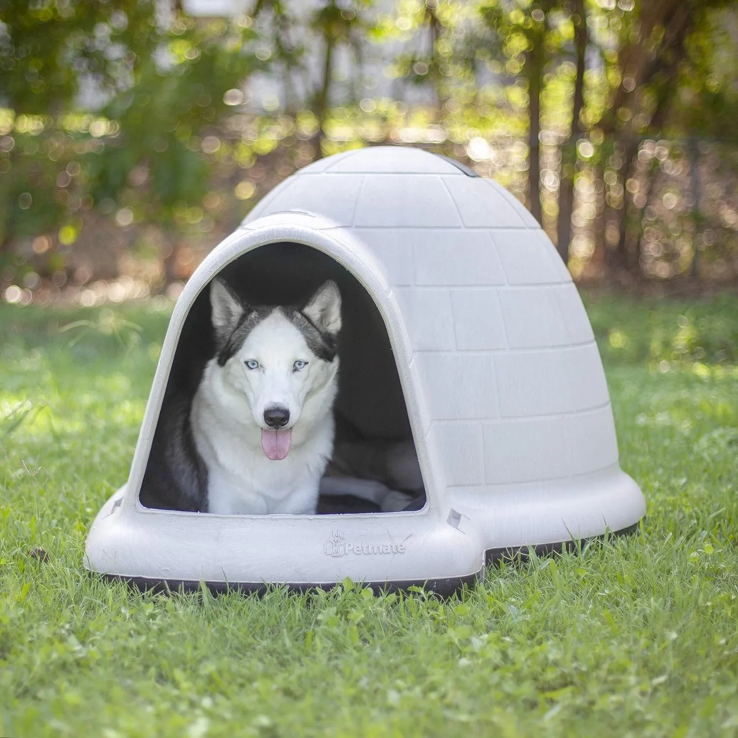 Petmate Indigo Dog House (Igloo Dog House. Made in USA with 90% Recycled Materials. All-Weather Protection Pet