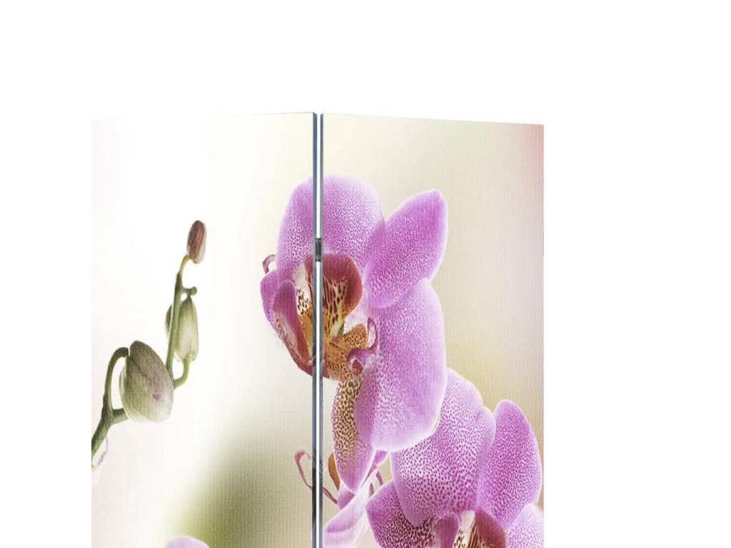 Tabique plegable 120 x 170 cm Flor