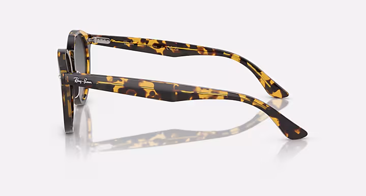 Ray-Ban LARRY