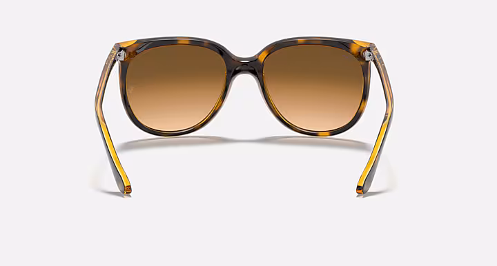 Ray-Ban CATS 1000