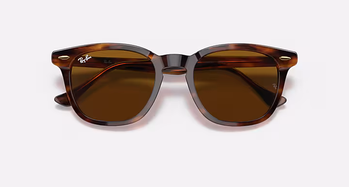 Ray-Ban HAWKEYE