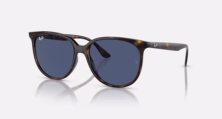 Ray-Ban RB4378