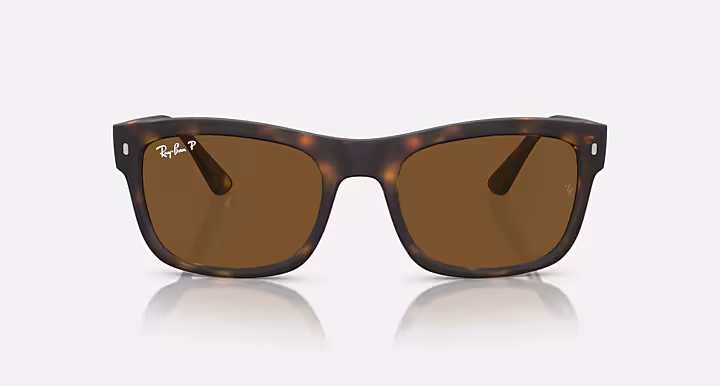 Ray-Ban RB4428