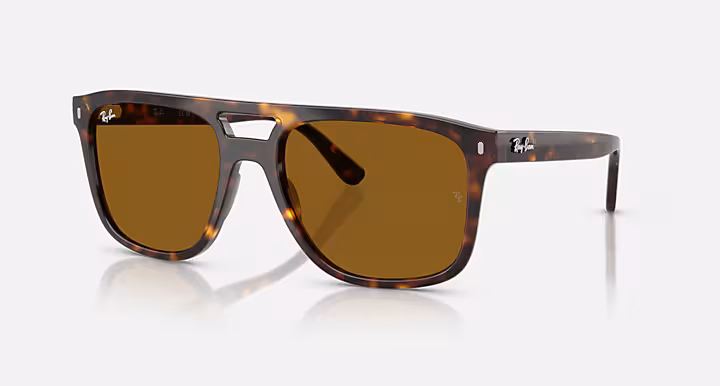 Ray-Ban RB2213