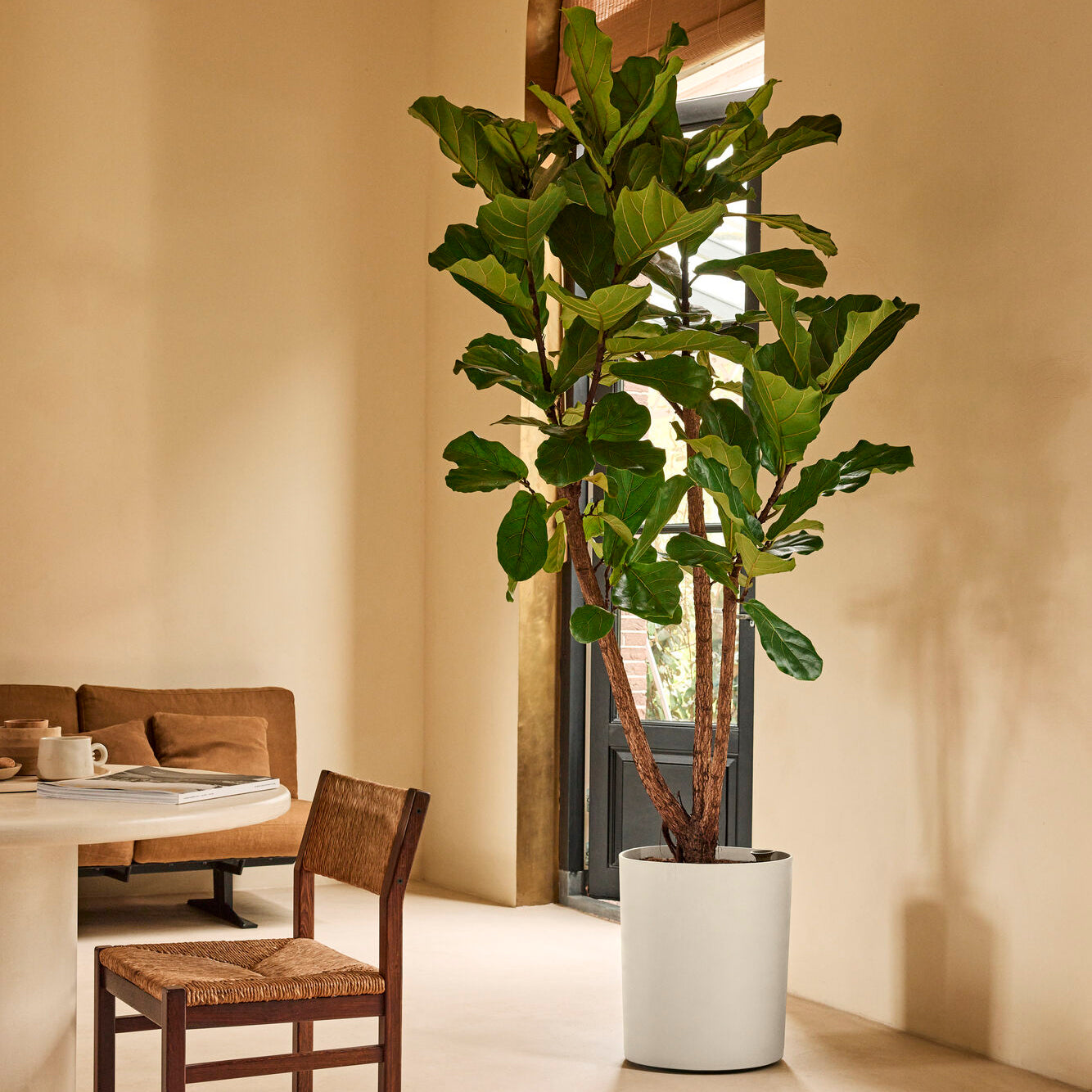 Elho Eden Aquacare High 40 - Linnen wit - L 43 x B x H 50 cm - Binnen