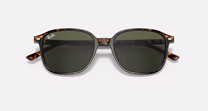 Ray-Ban LEONARD