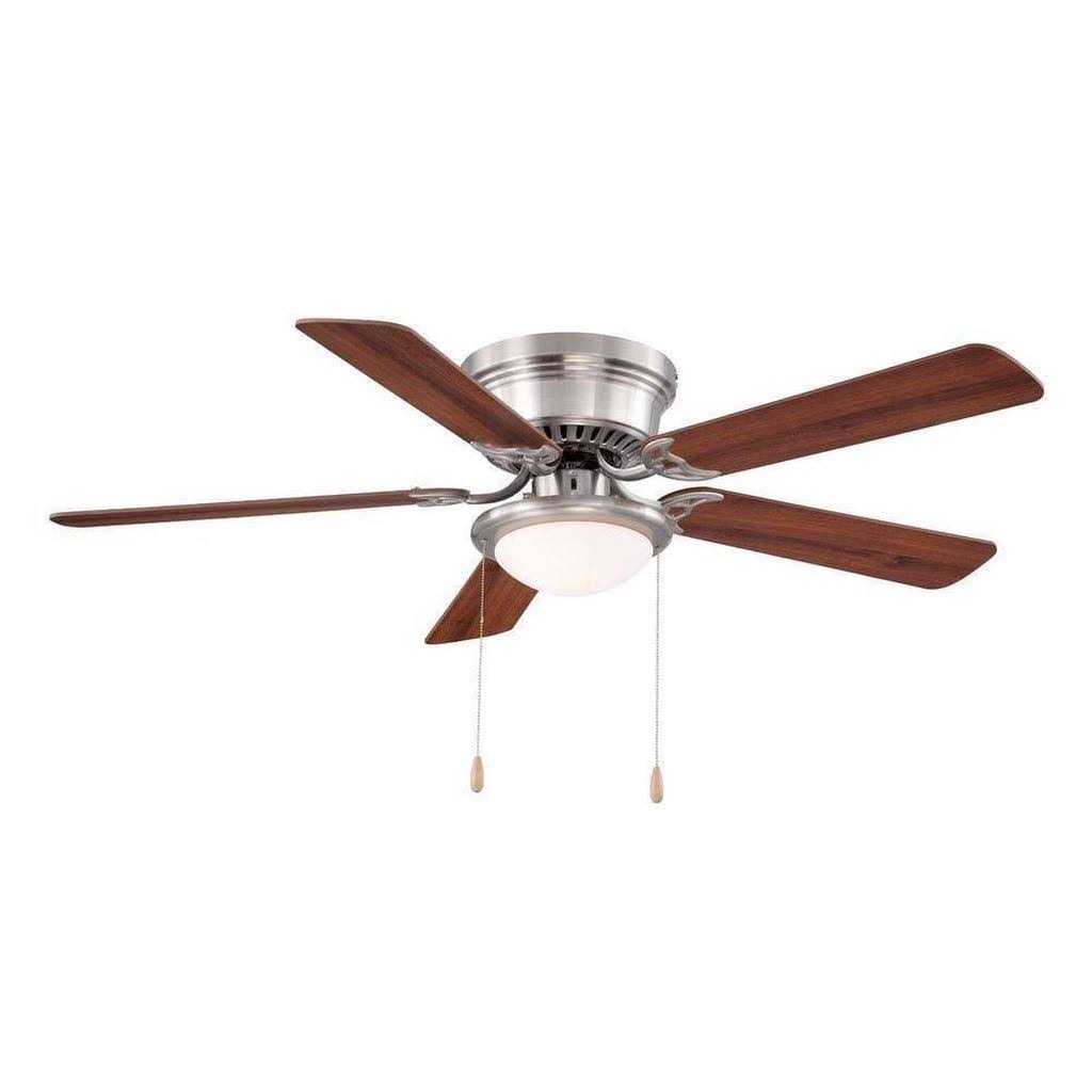 Fans