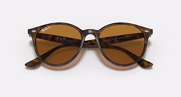 Ray-Ban RB4305