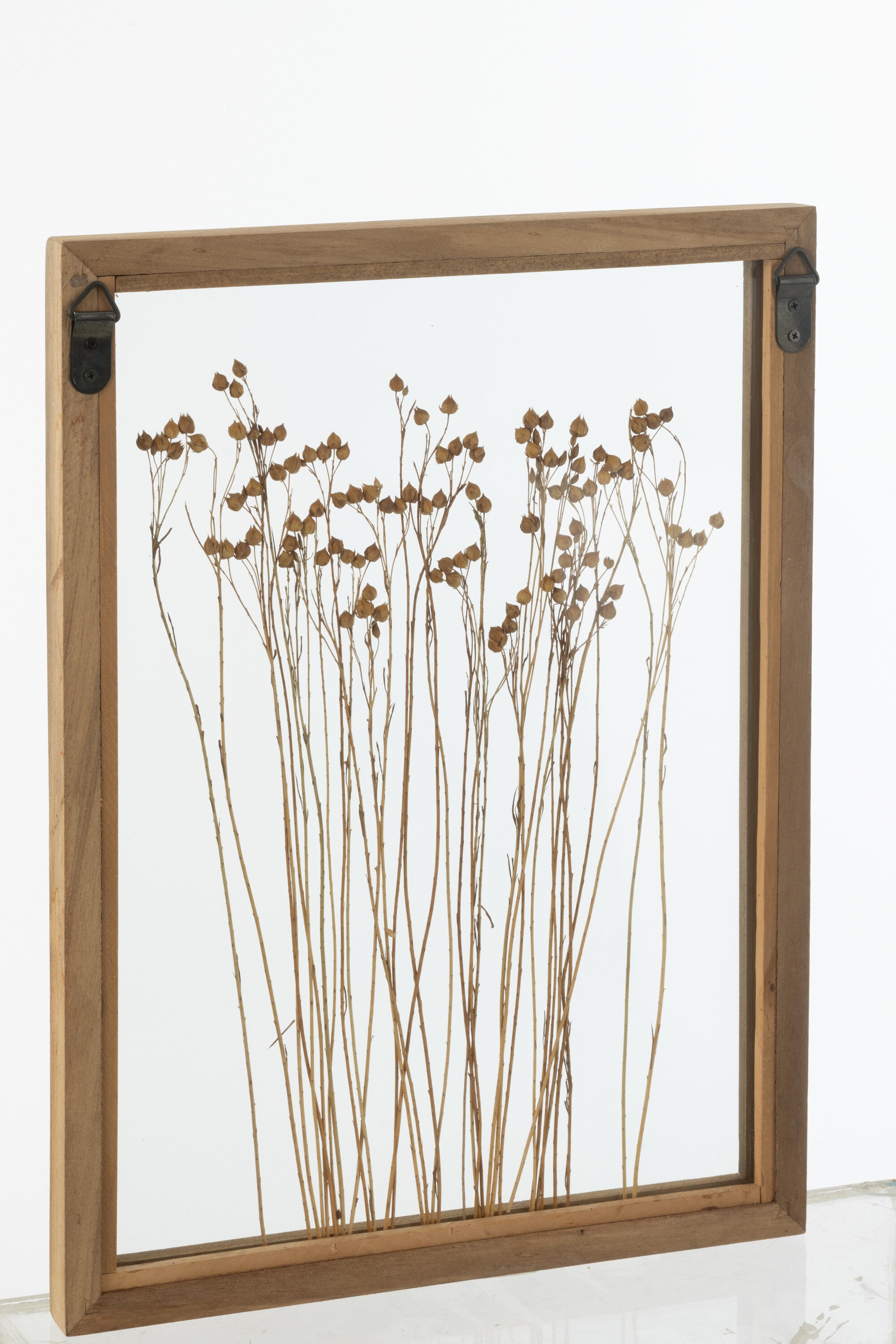 J-Line wanddecoratie Graan - dennenhout glas - transparant b