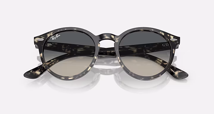 Ray-Ban LARRY