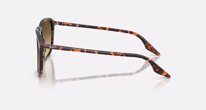 Ray-Ban RB2203