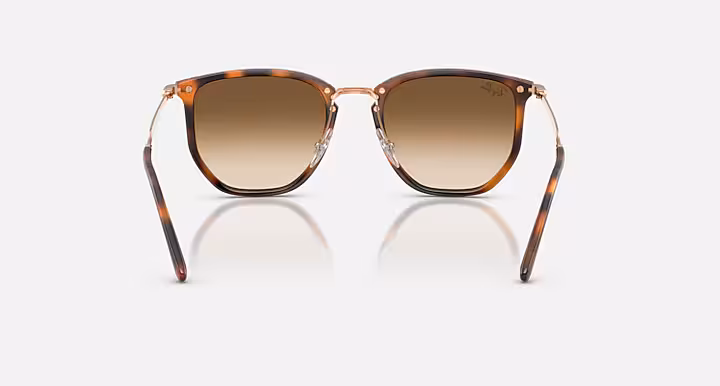 Ray-Ban RB4451