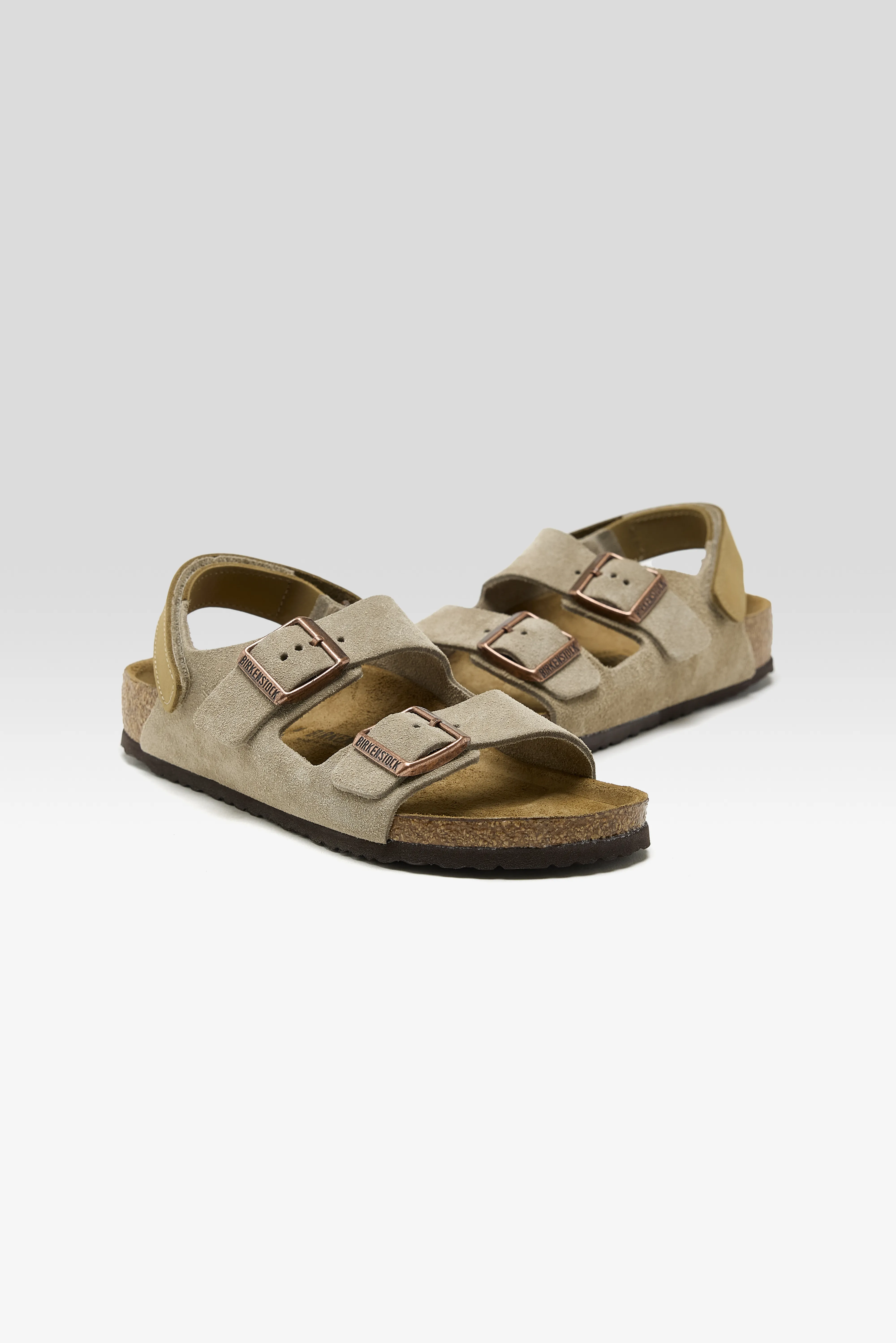 Bellerose Milano Suede for Kids  (251 / B / TAUPE)