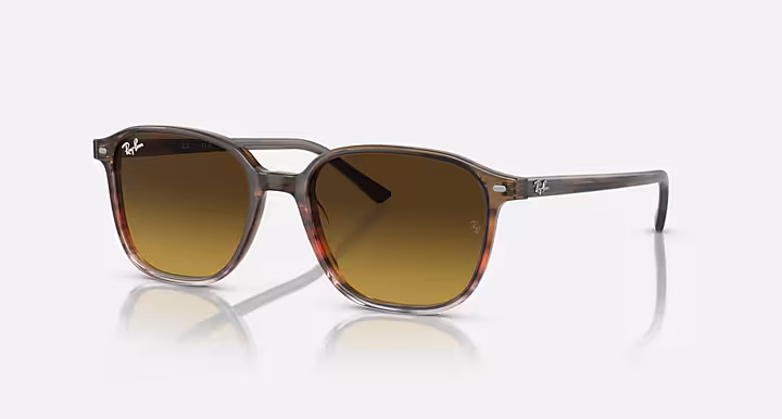 Ray-Ban LEONARD