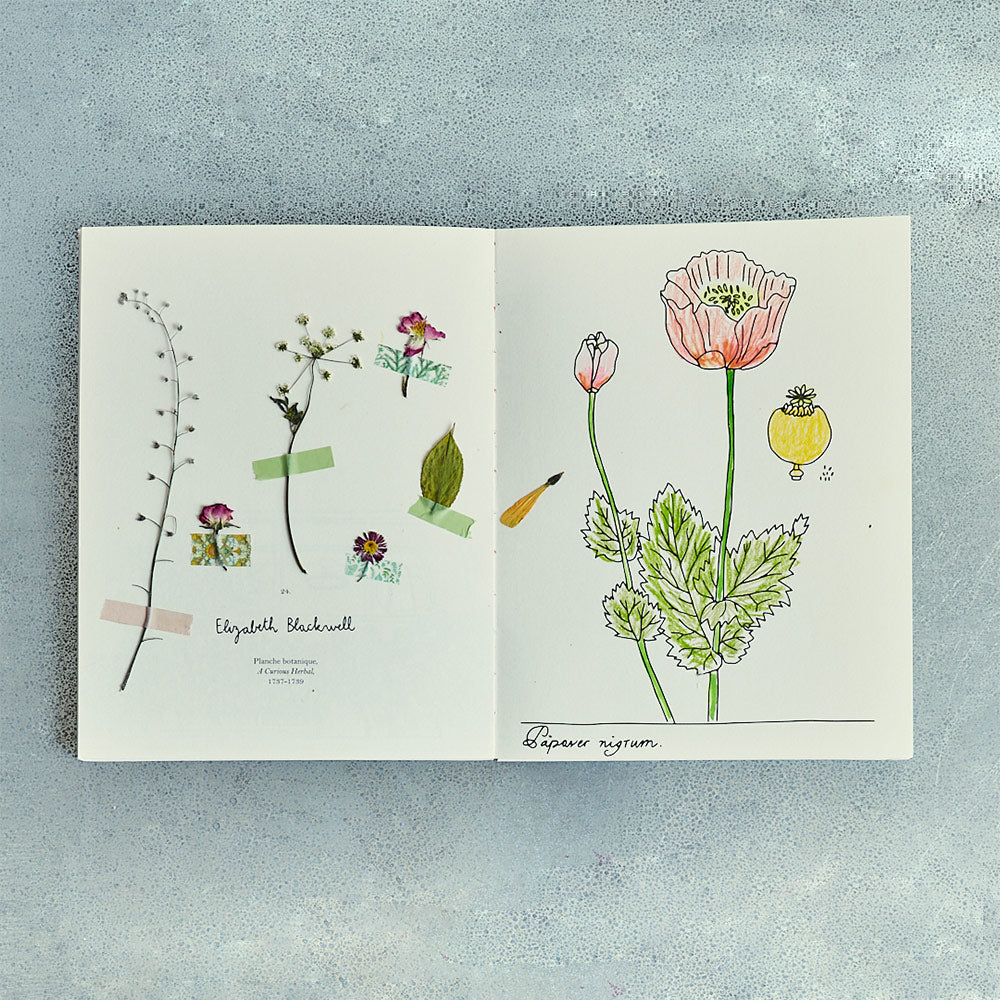 Livre - Fleurs de Zoé de las Cases