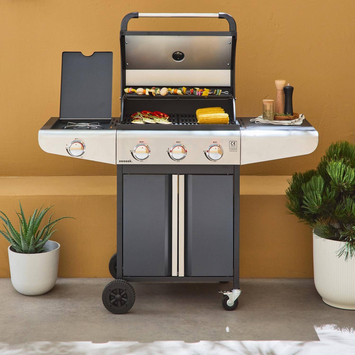 Bazin 3 - Barbacoa de gas con 3 quemadores con 1 quemador lateral
