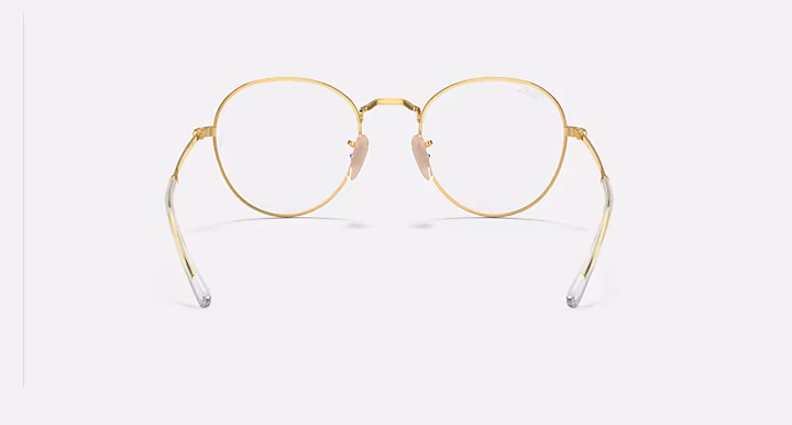 Ray-Ban ROUND METAL OPTICS II