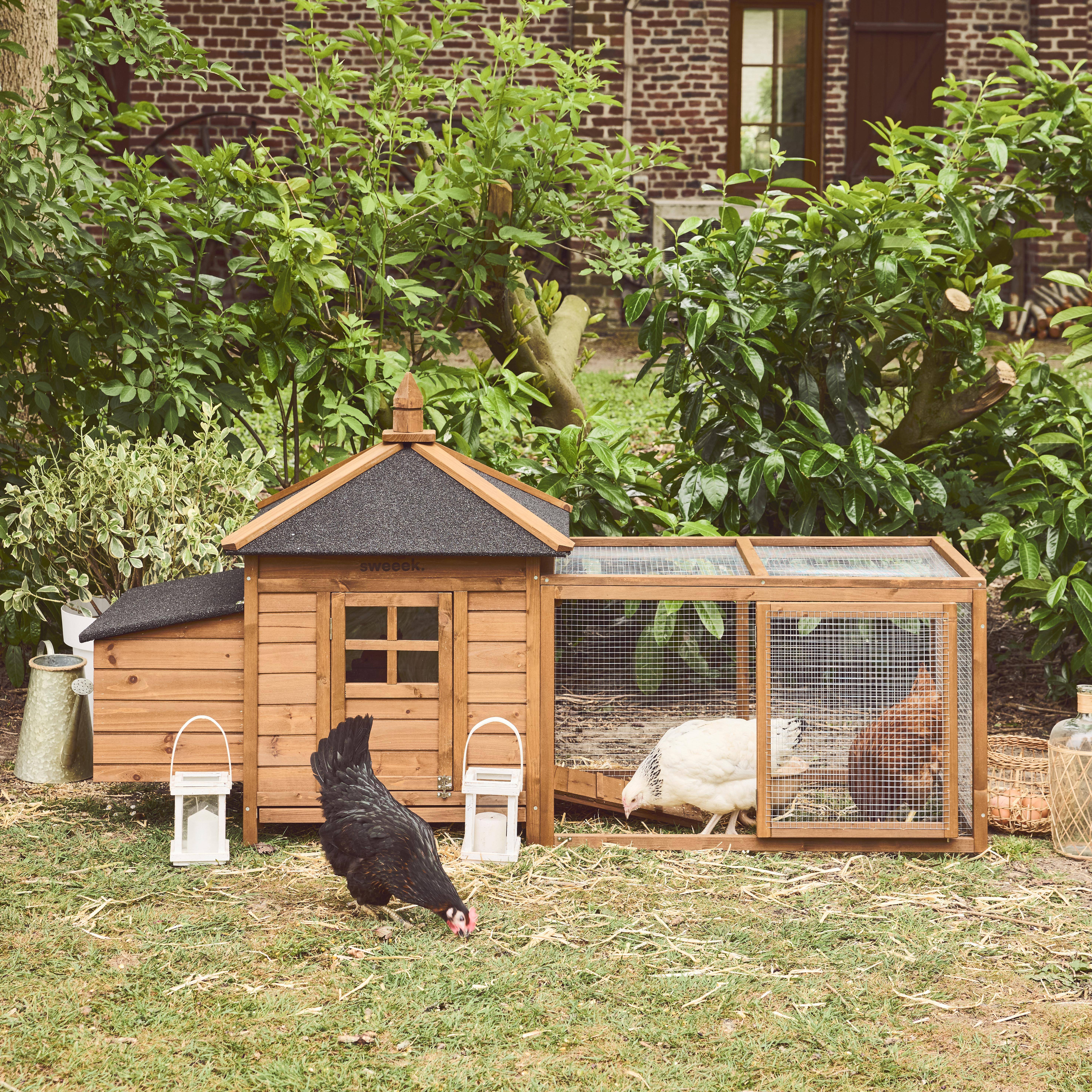 Java - Gallinero de madera con corral para 4 gallinas