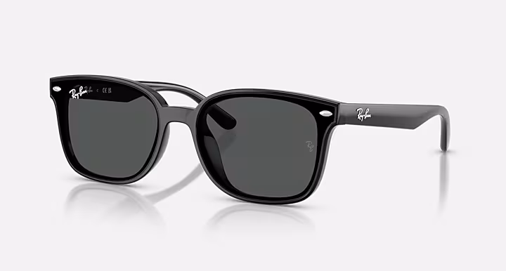Ray-Ban RB4461D