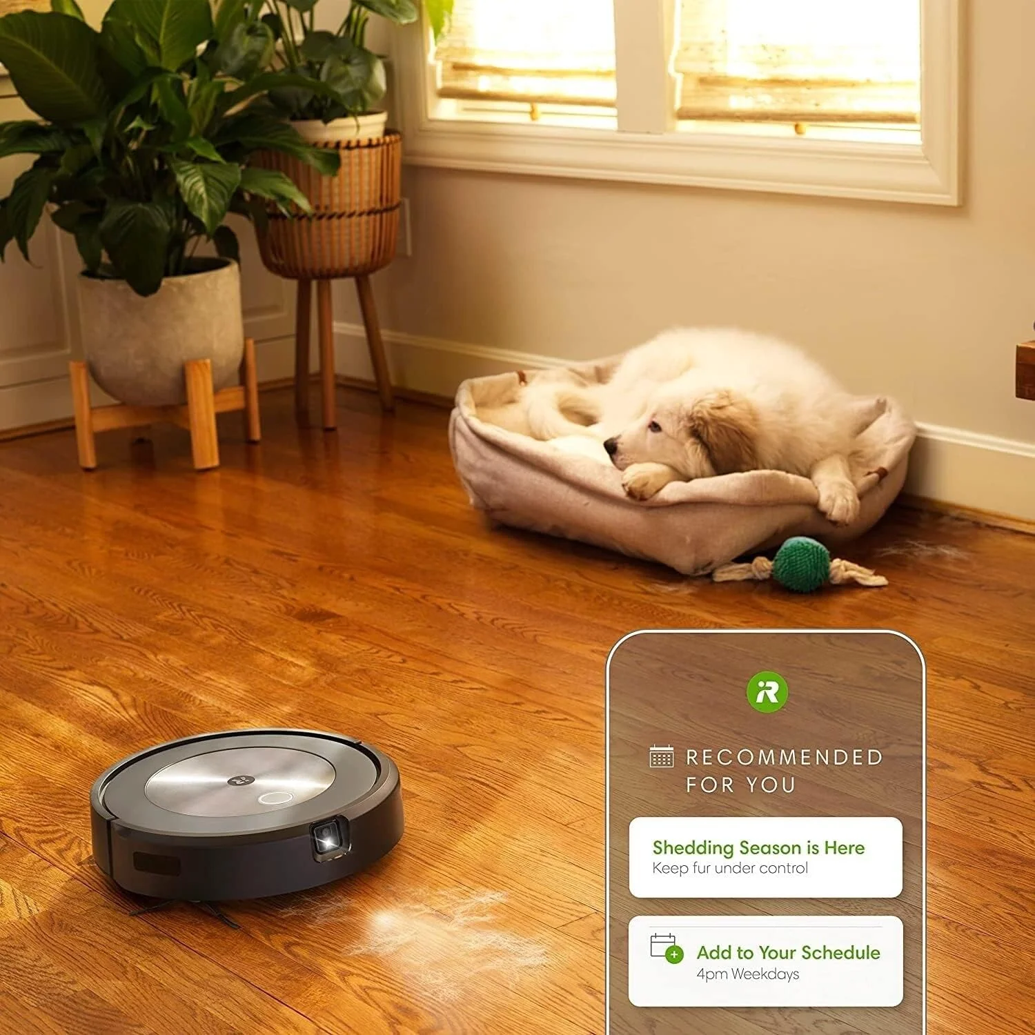 j7+ Self-Emptying Robot Vacuum, Renewed