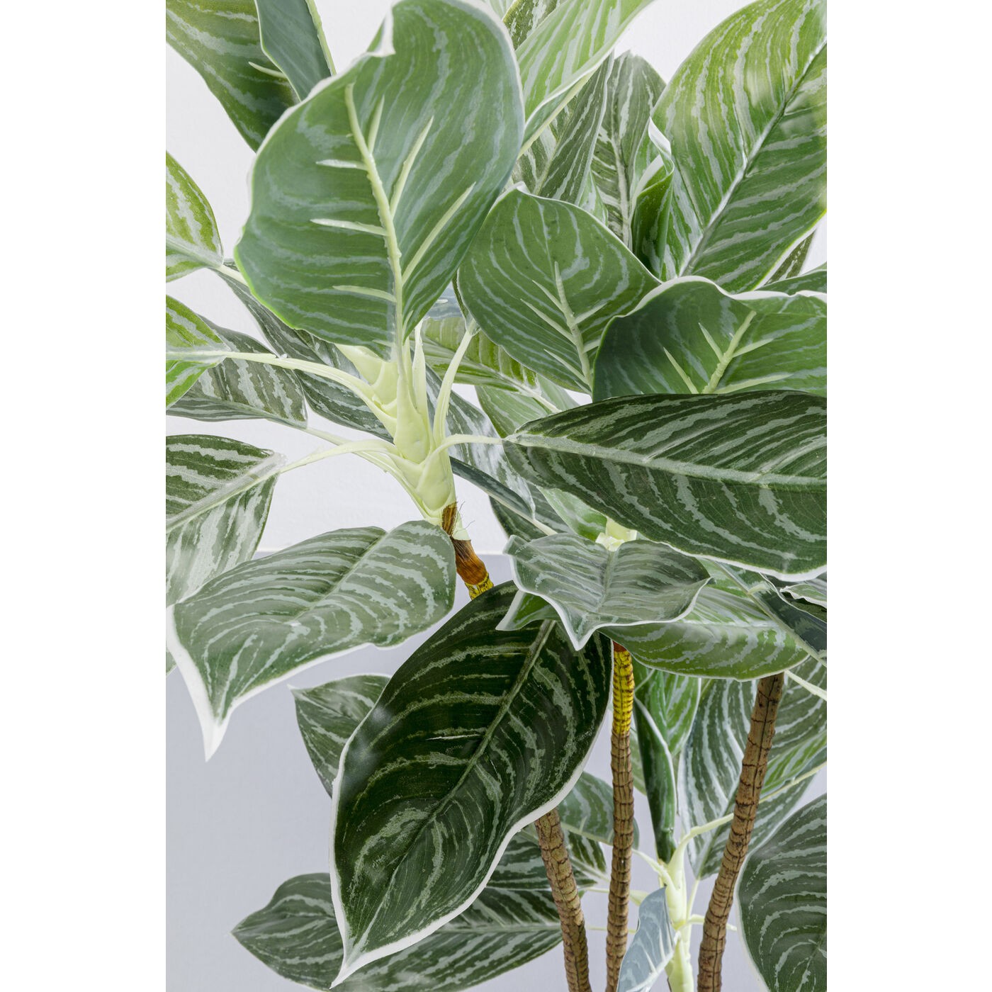 Kunstplanten Calathea 140cm Kare Design