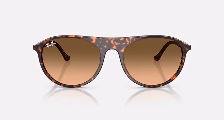 Ray-Ban RB2215