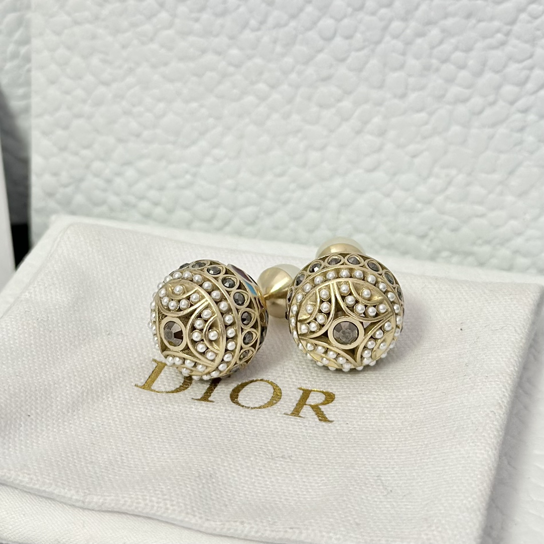 Dior Enamel Earrings - Original Replica Club