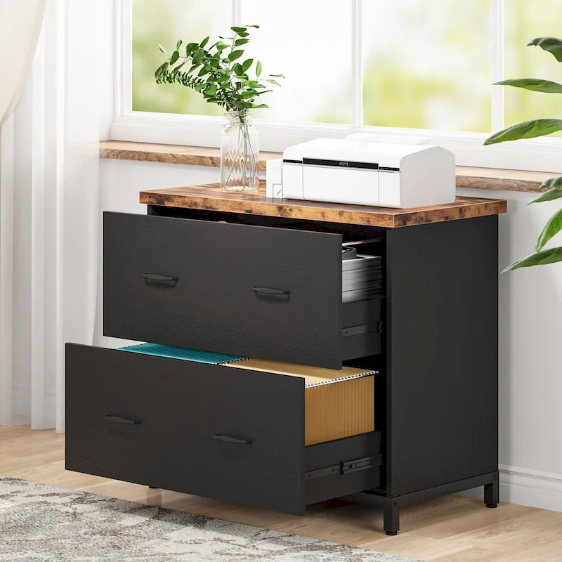2-Drawer Lateral File Cabinet for Office Organization